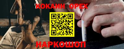 индика Камышлов