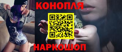 индика Камышлов