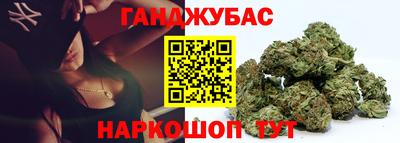 индика Камышлов