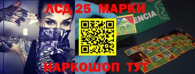 индика Камышлов