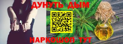индика Камышлов