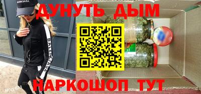 индика Камышлов