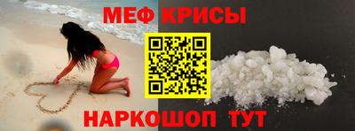 индика Камышлов