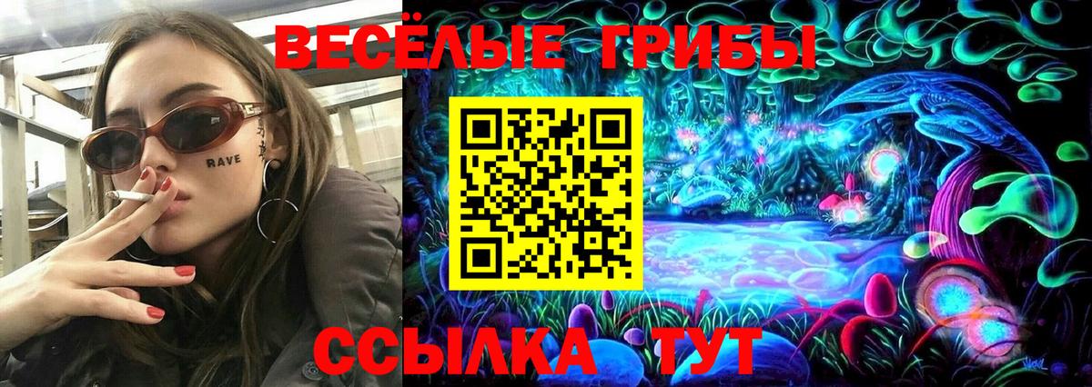 Псилоцибиновые грибы мицелий Кубинка