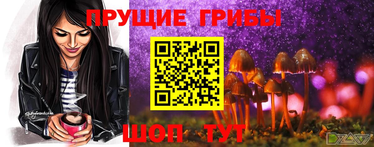 Галлюциногенные грибы Psilocybine cubensis  Вход с VPN  Кубинка 